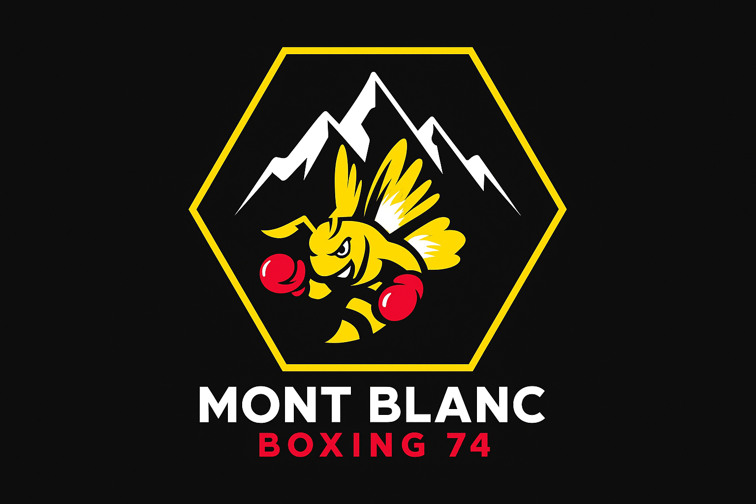 Salle de boxe moderne